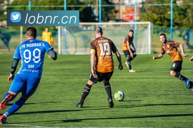 星空官方网站平台生态图